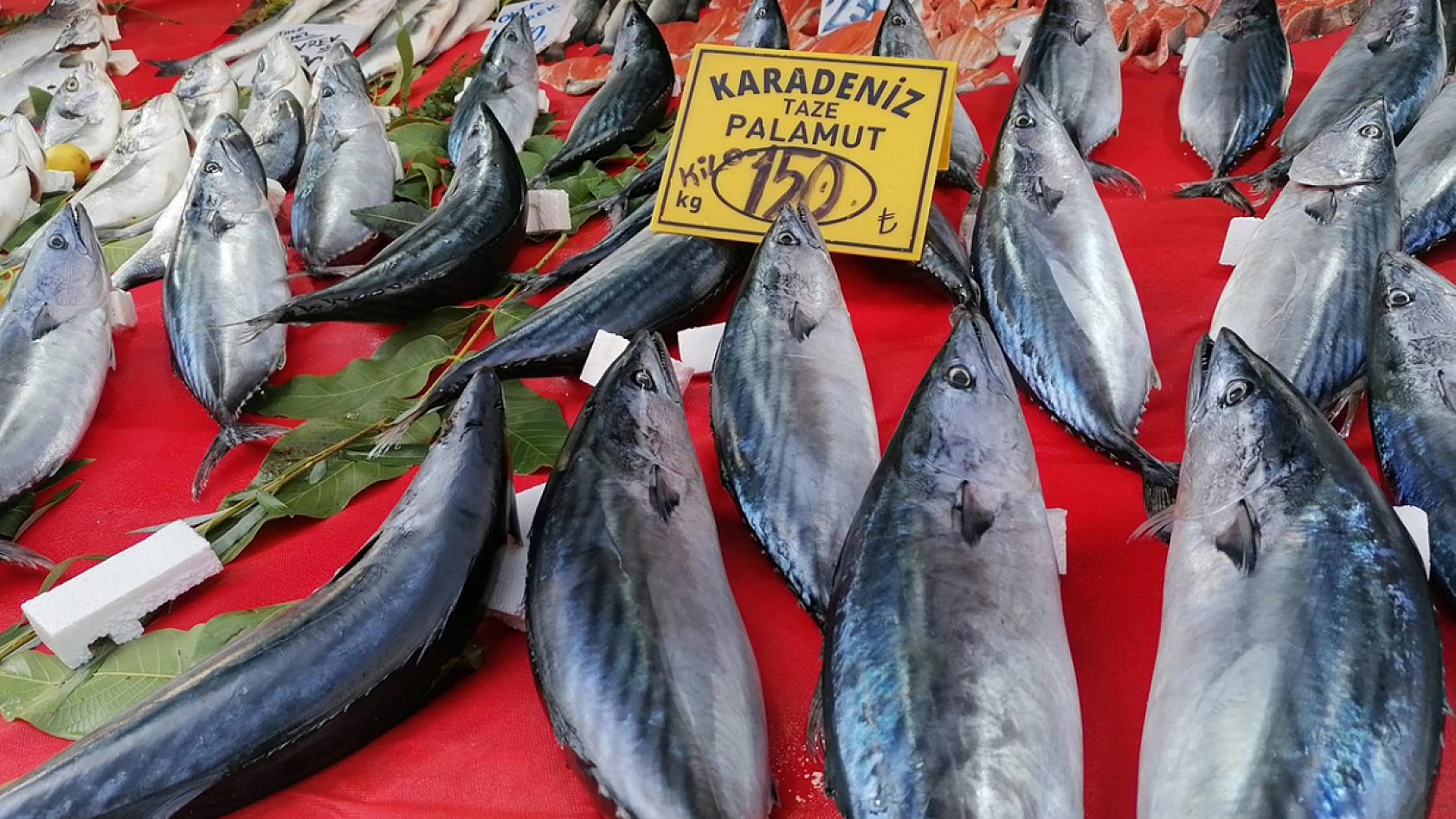 Elazığ'da güncel balık fiyatları