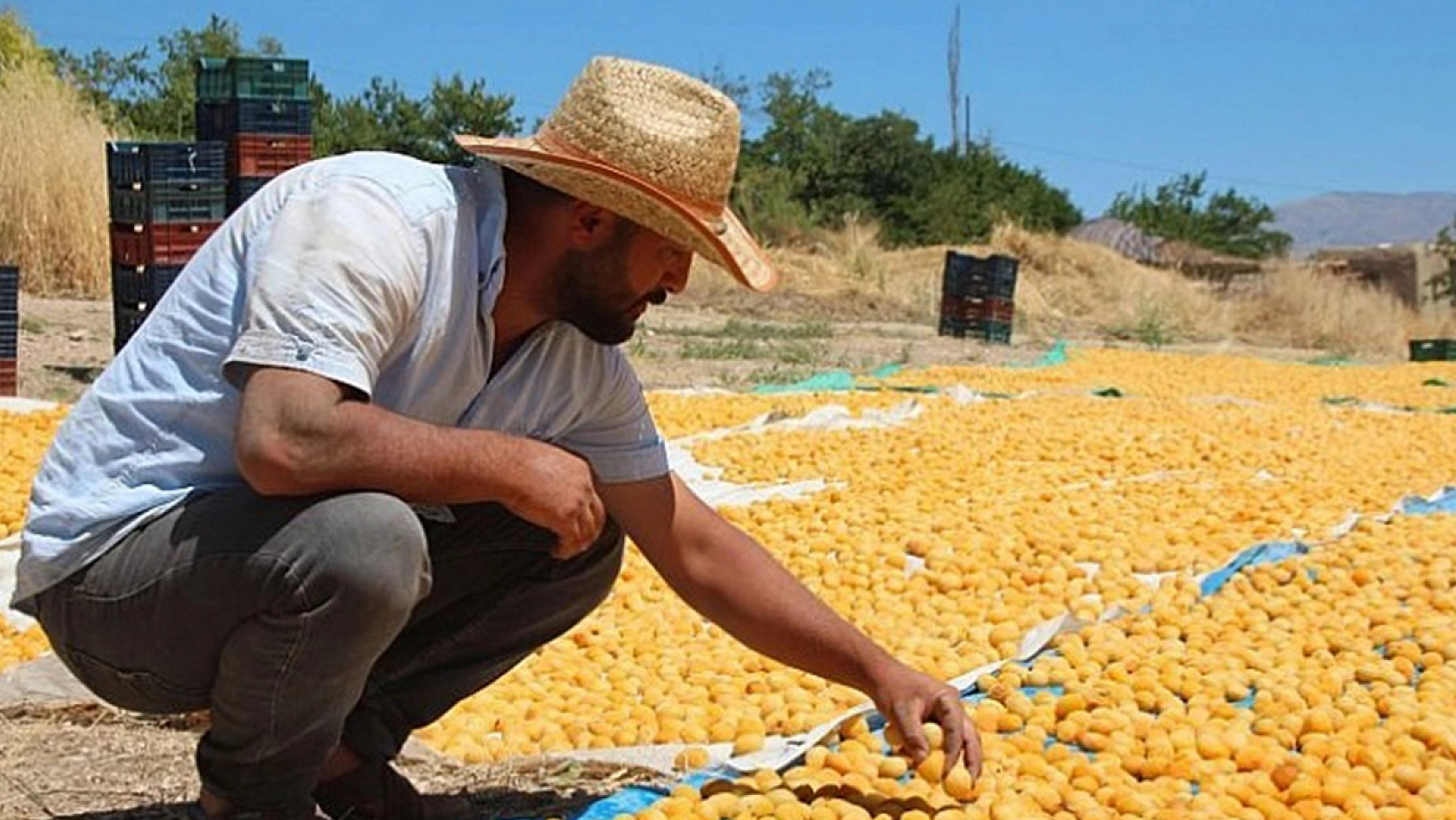 Elazığ'da şehir merkezinin yanı başında: Kıymeti bilinse adı dünyaya duyurulur