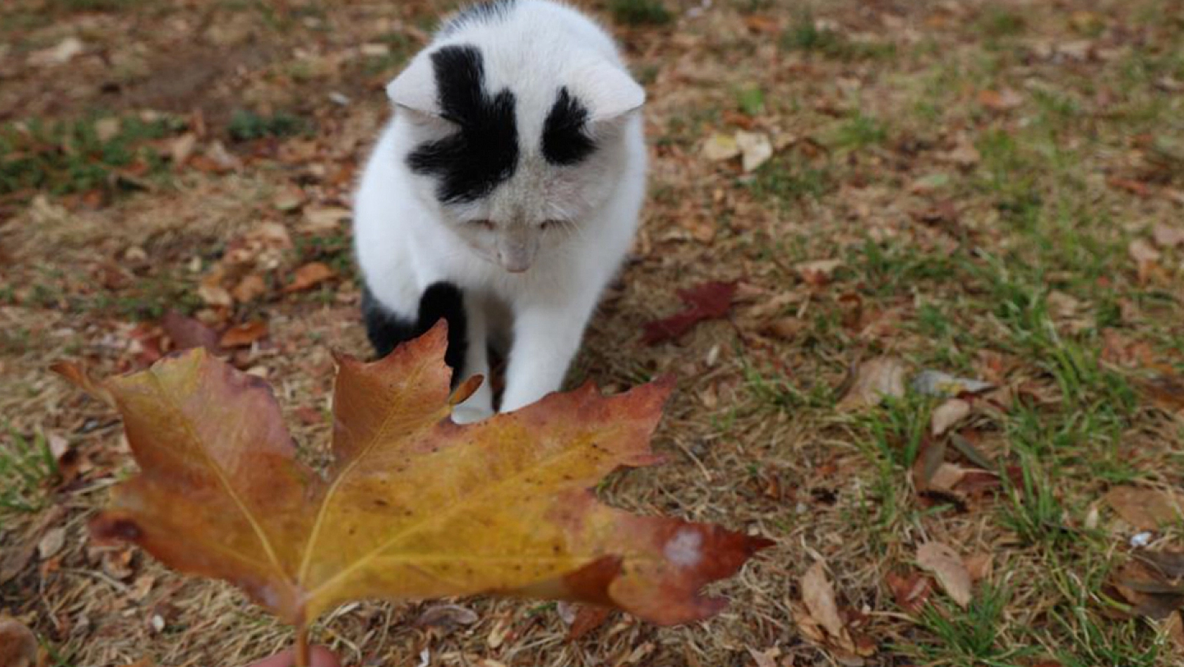 Harput'un gülen yüzleri kameralara yansıdı
