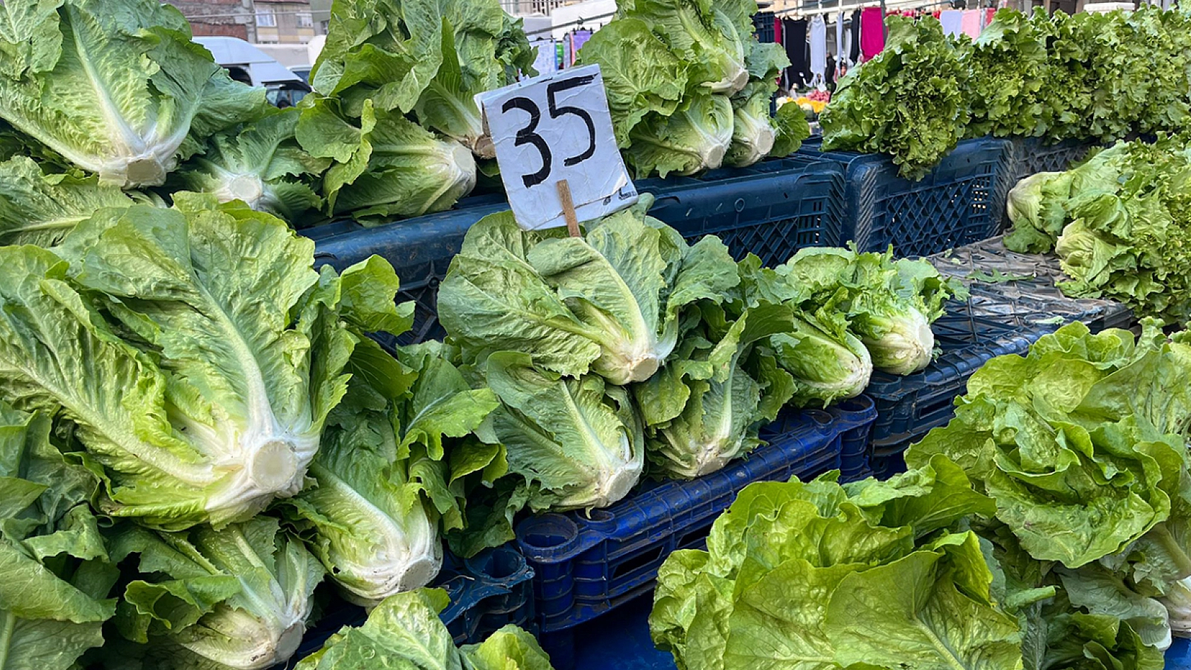 Soğuk hava pazarlardaki fiyatları etkiledi mi? Elazığ'da güncel pazar fiyatları ne durumda?