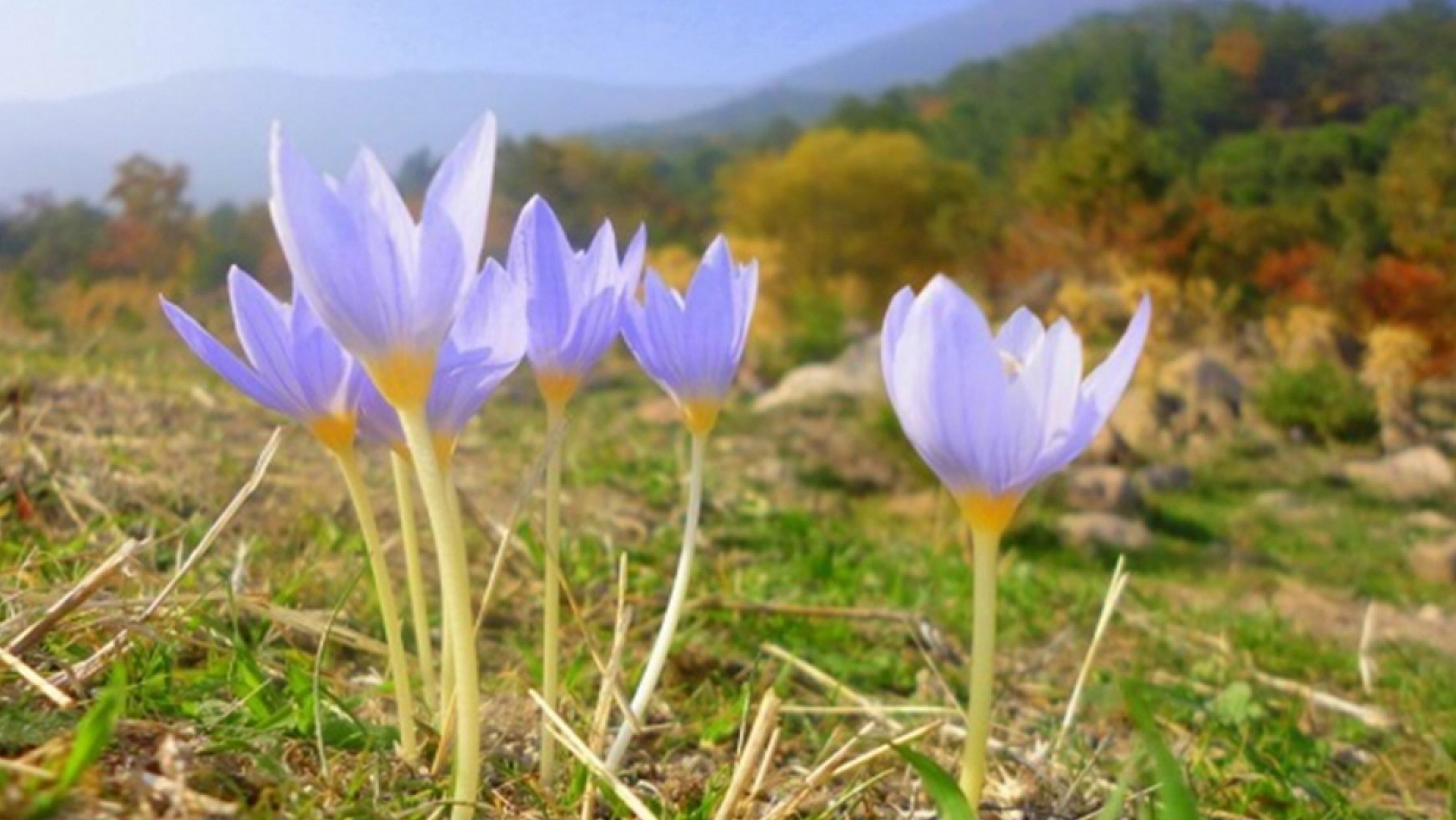 Elazığ'a cemre ne zaman düşecek?