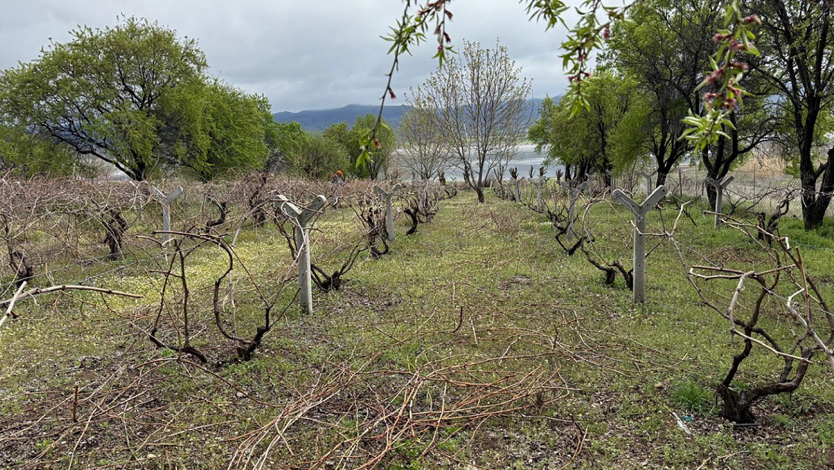Elazığ'da son hazırlıklar yapılıyor
