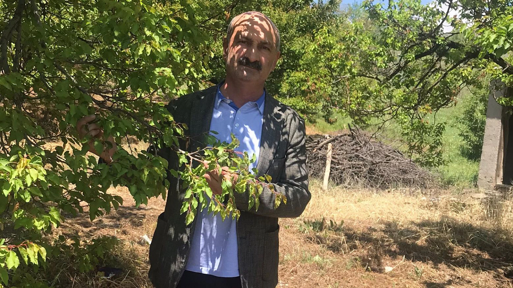 Elazığ'da kuru kayısı fiyatları uçtu