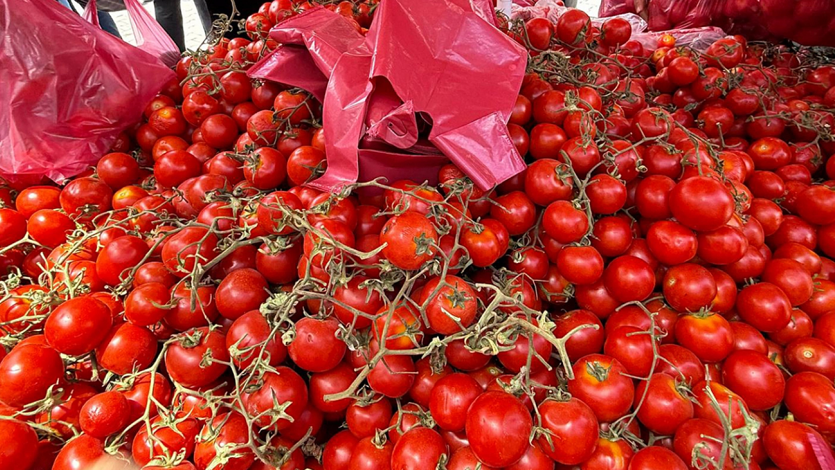 Elazığ'da 3 kilosu 50 liradan satıldı vatandaşlar poşet poşet aldı