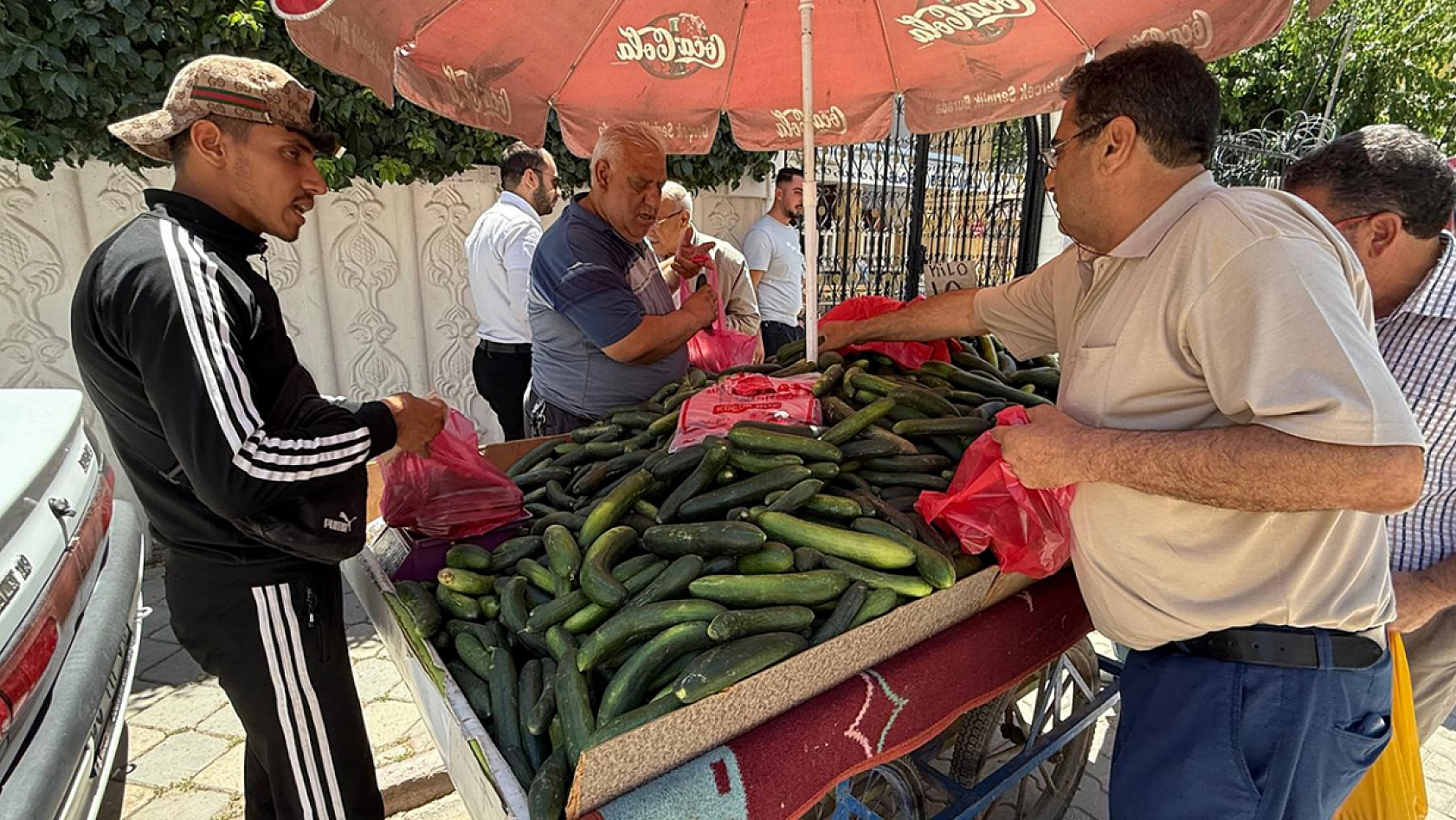Elazığ'da kilosu 10 liraya düştü poşet poşet satıldı! Satan sürümden kazanıyor
