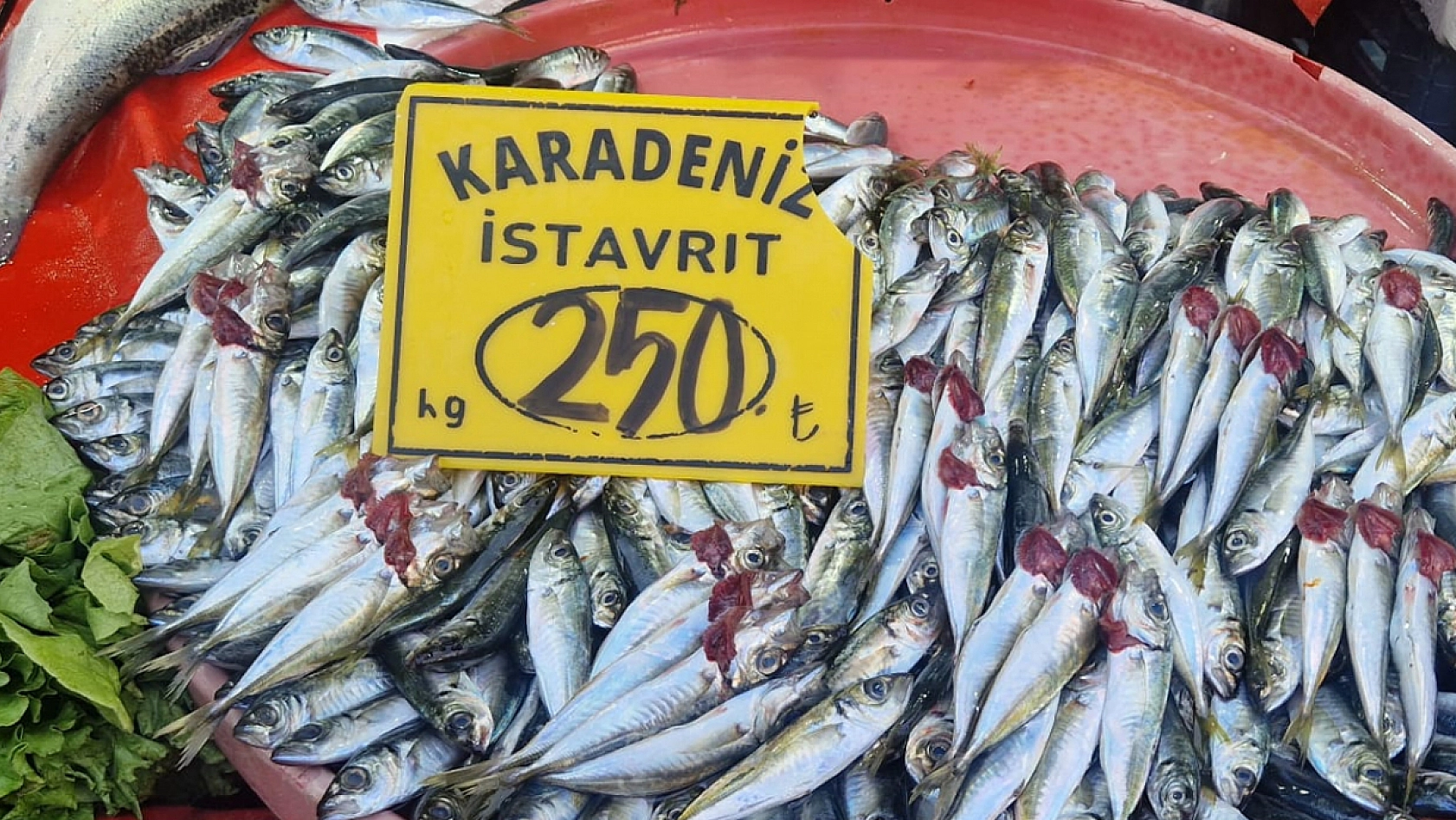 Elazığ'da balık sezonu açıldı: En sevilen balığın fiyatını duyanın dudağı uçukluyor