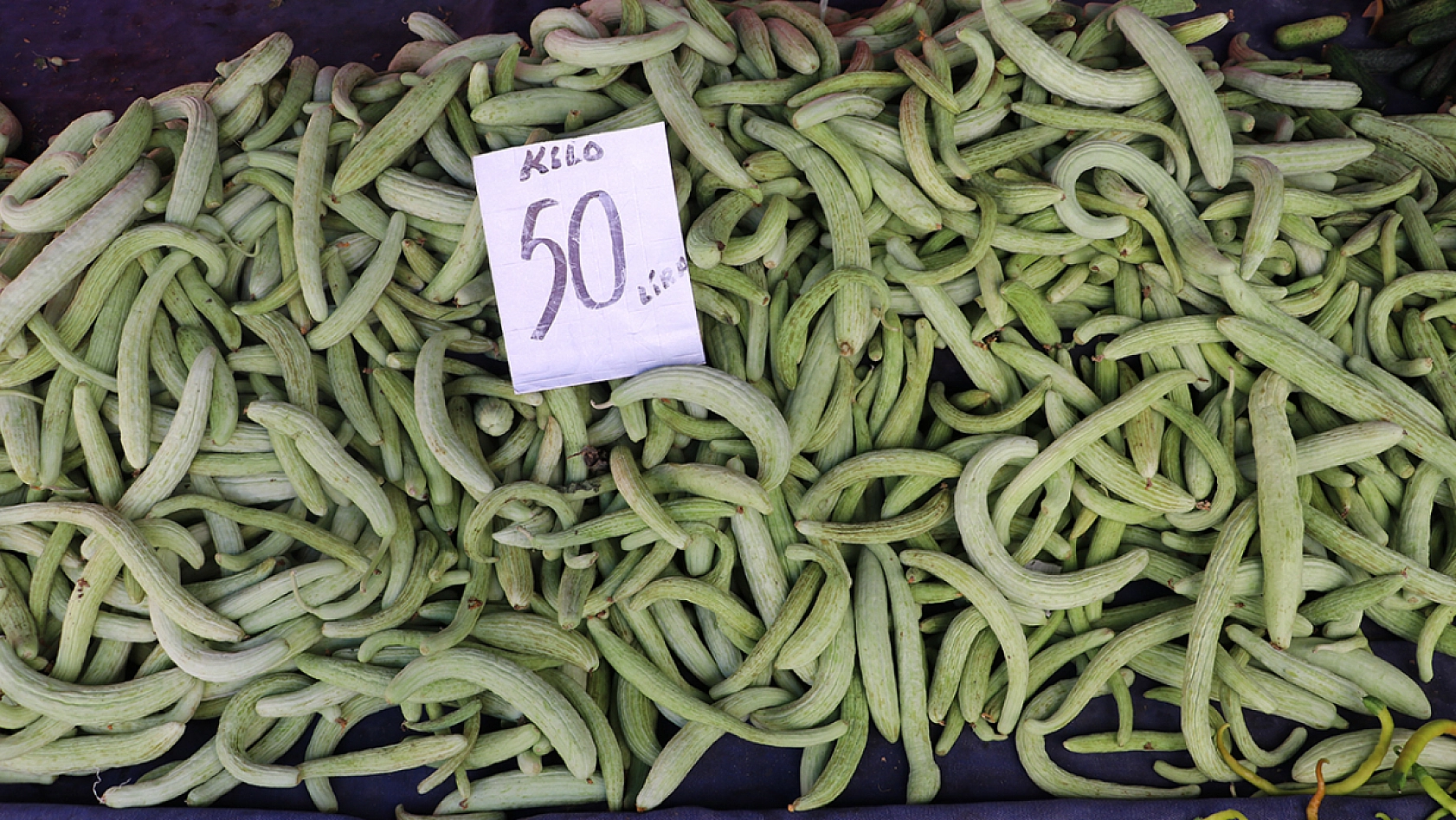 Elazığ'da bu hafta aldın aldın fırsatı: Haftaya iki katına çıkacak!