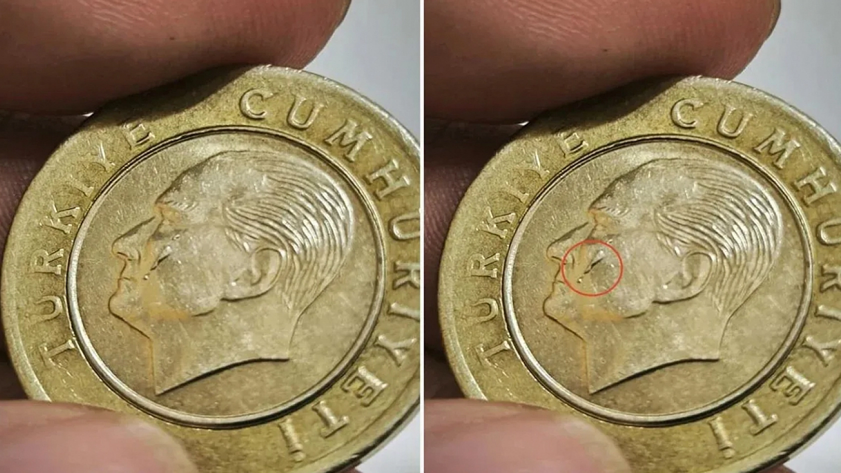 Sıradan 1 TL binlerce lira eder mi?