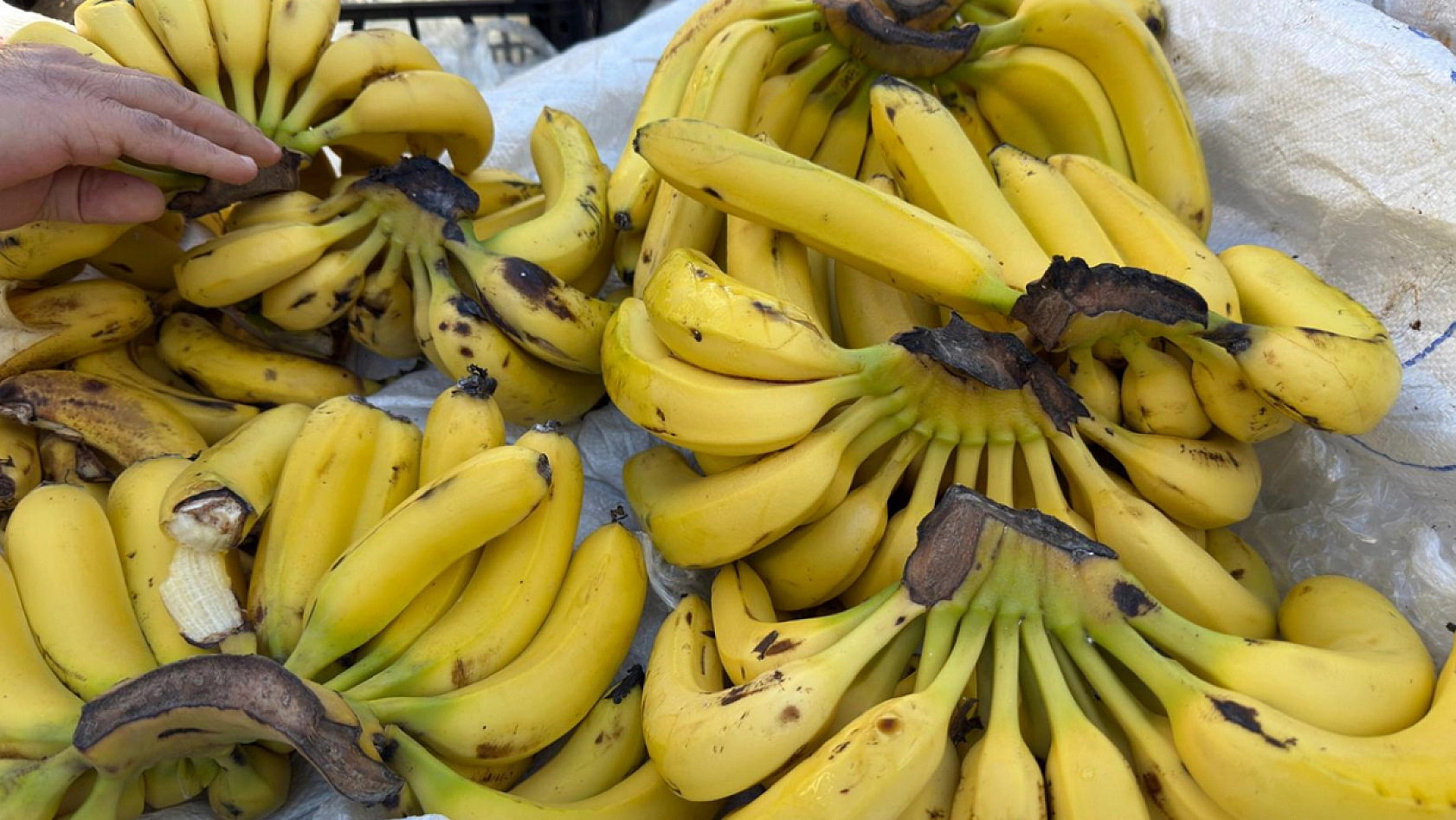 Elazığ'da kilosu 80 liradan satıldı almak için kuyruk oluştu