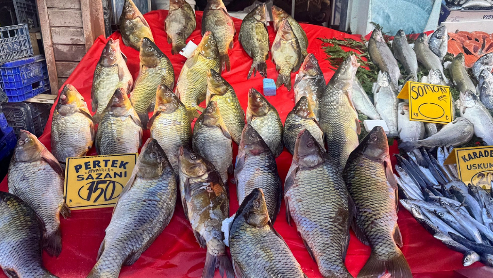 Elazığ'da bu sektörde fiyatlar düştü