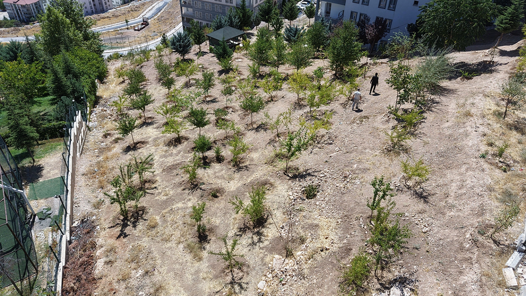 Elazığ'da depremden kalan fidanlar şehirde hayat buldu