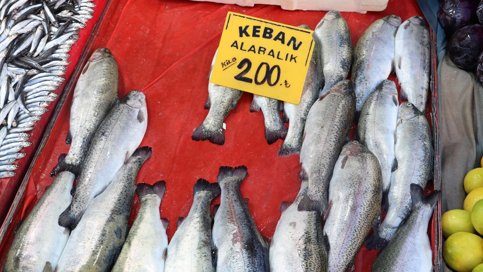 Elazığlı vatandaştan balık fiyatlarına tepki: 'Bunun pulları altından mı'