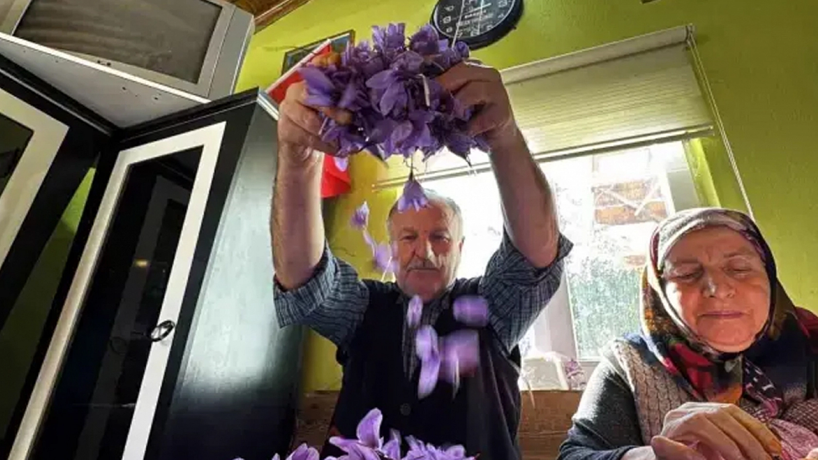 Gramı 600 TL'ye dayanan ürünün hasadı başladı