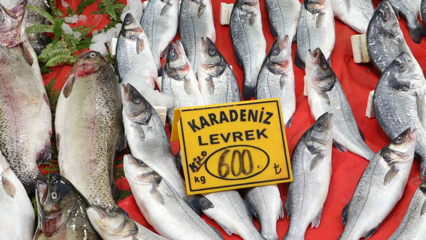 Elazığ'da balığa talep azaldı mı?