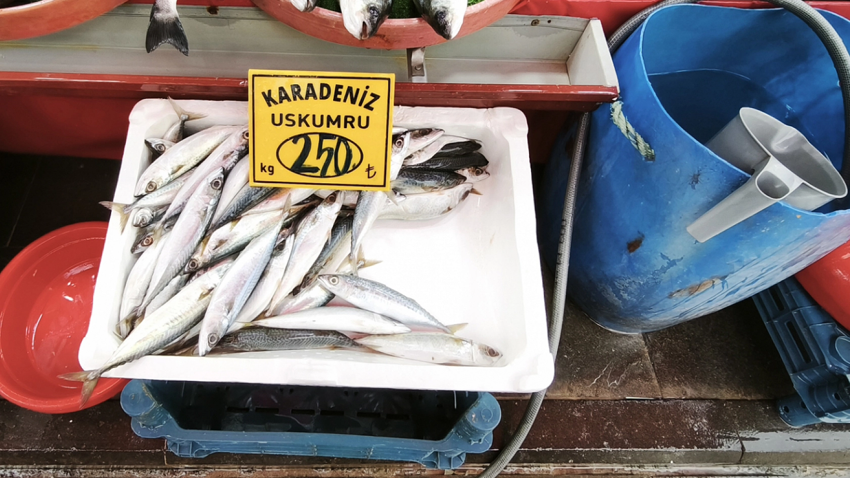 Elazığ'da esnaf ve vatandaşlar karşı karşıya