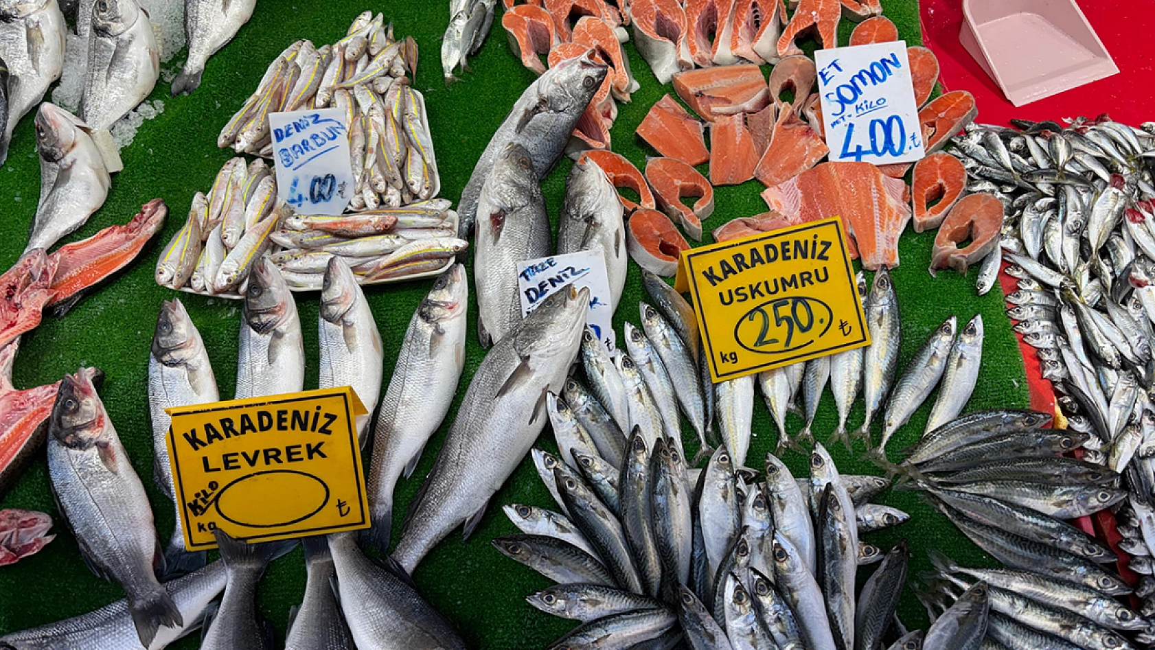 Elazığ'da Balık Azaldı, tezgahlarda durgunluk yaşanıyor