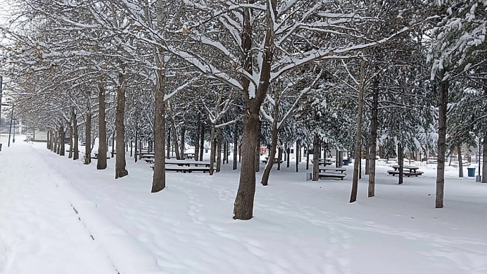Meteoroloji, Elazığ ve çevre illeri uyardı