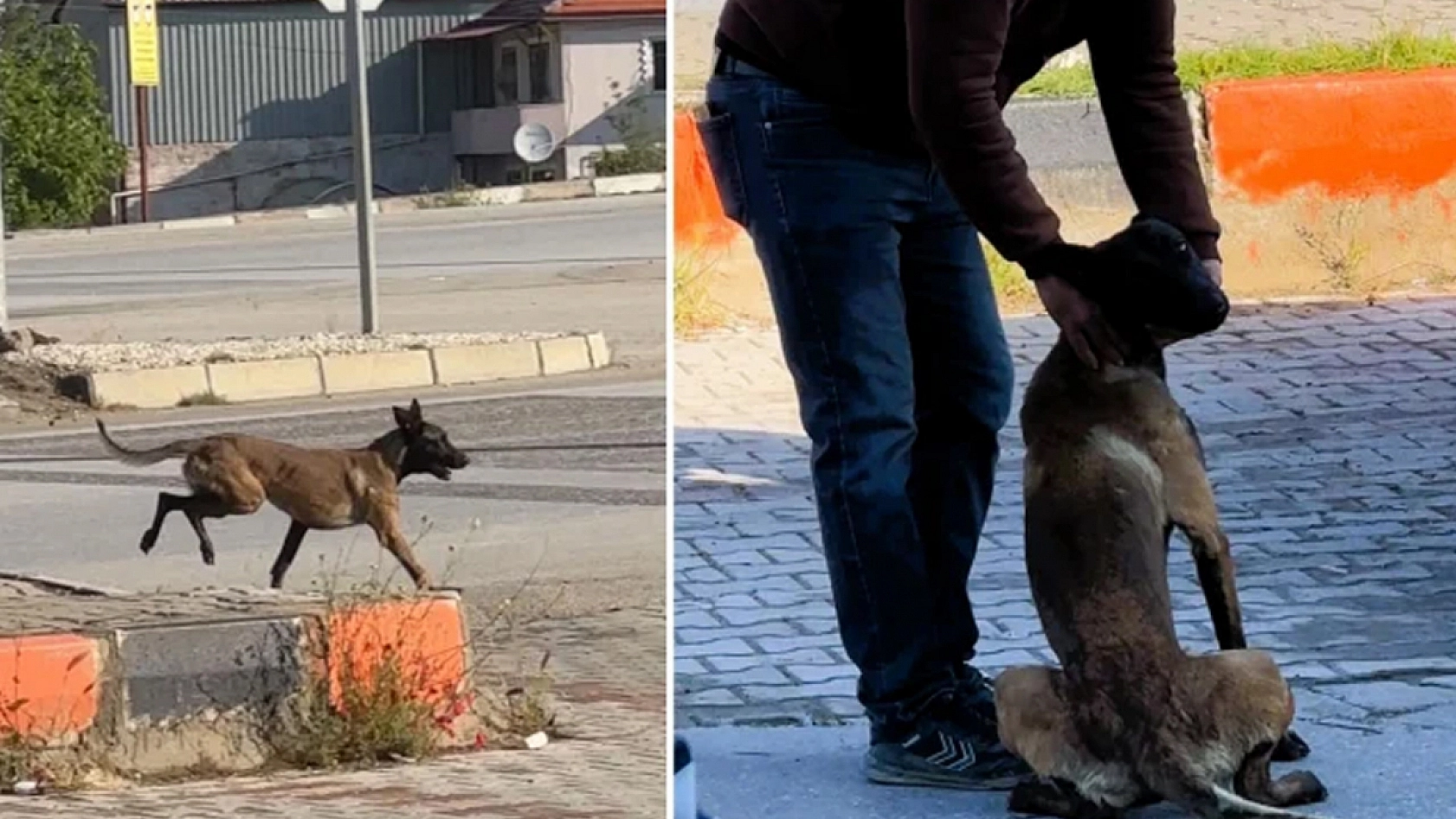 Dinlenme tesisinde feci saldırı: Kadının kolu koptu