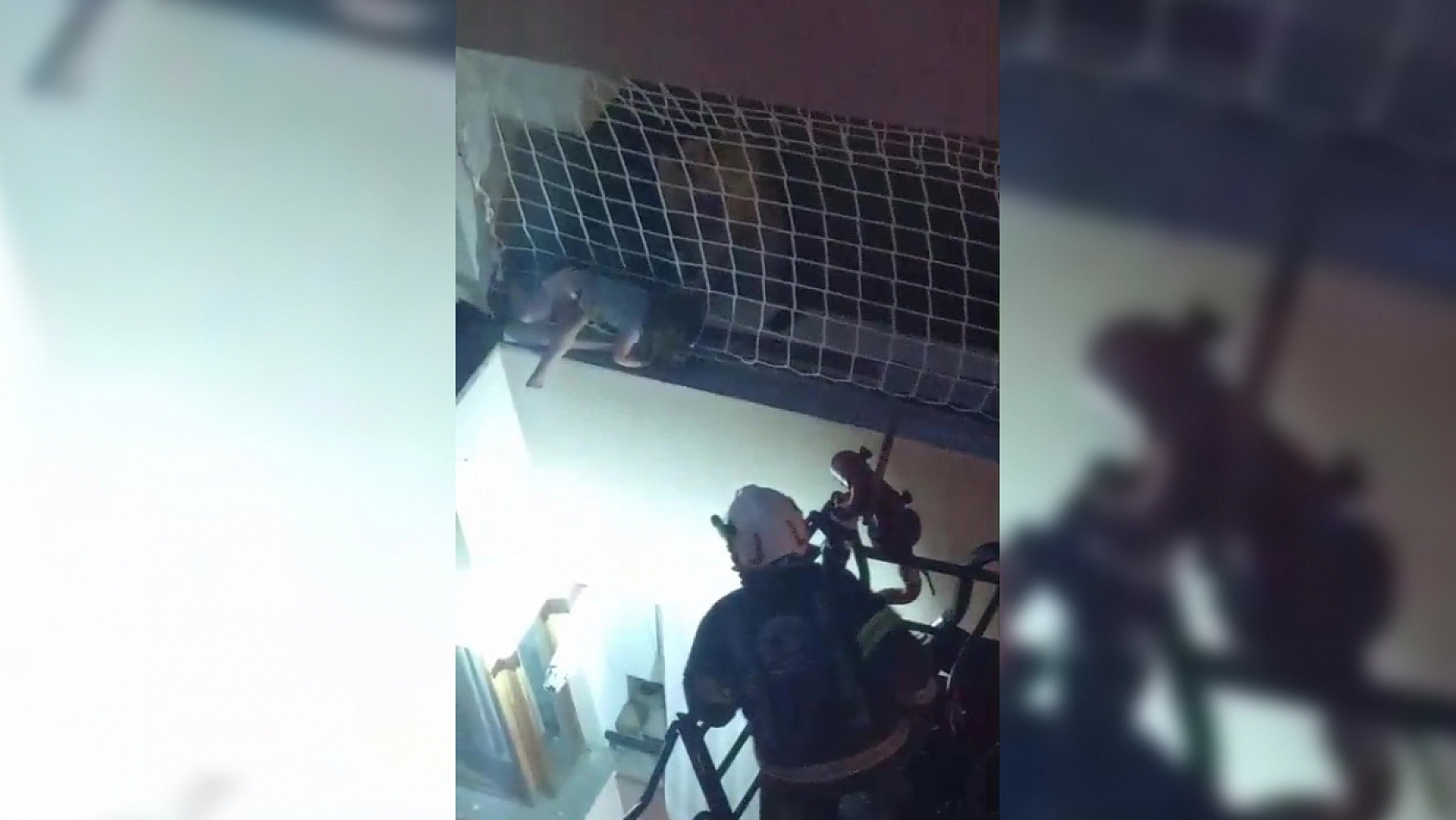 Yürekleri ağza getiren an: Balkon filesinde asılı kalan çocuğunu annesi dakikalarca tuttu