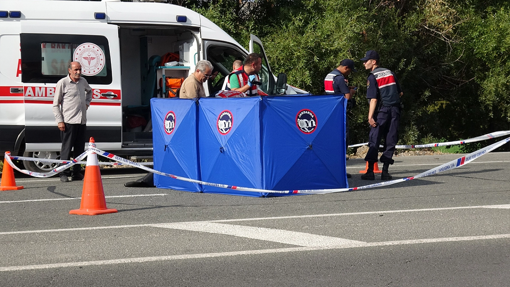 Tuvalet ihtiyacı için aracından indi, canından oldu