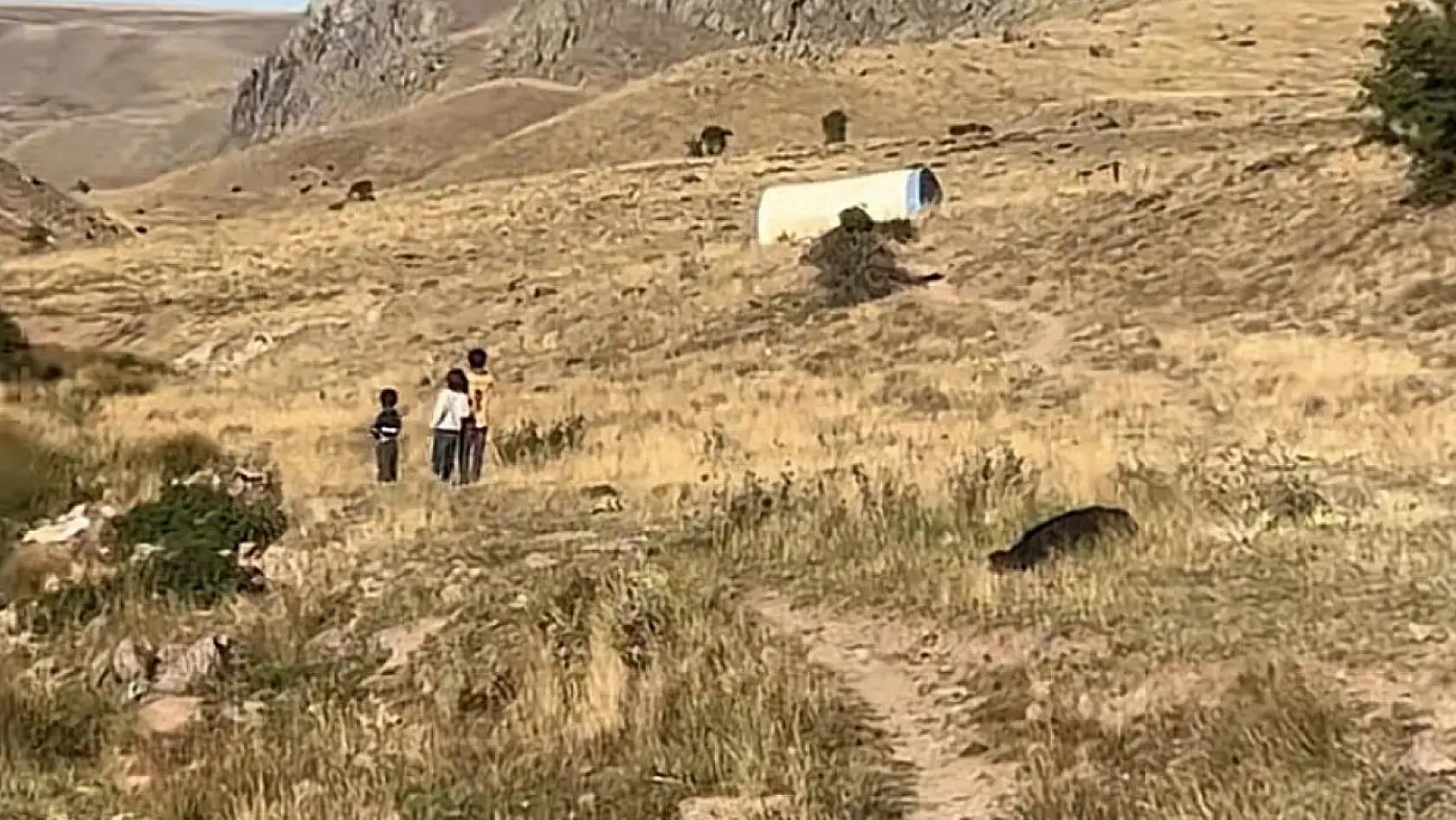Anneden kan donduran iddia: 'Babası, öz evladını para karşılığı sattı'