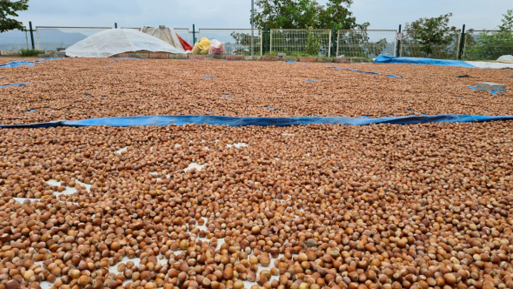 Bu Mesleği Yapanlar Yaşadı Saatte 3 Bin 500 TL Kazanıyorlar