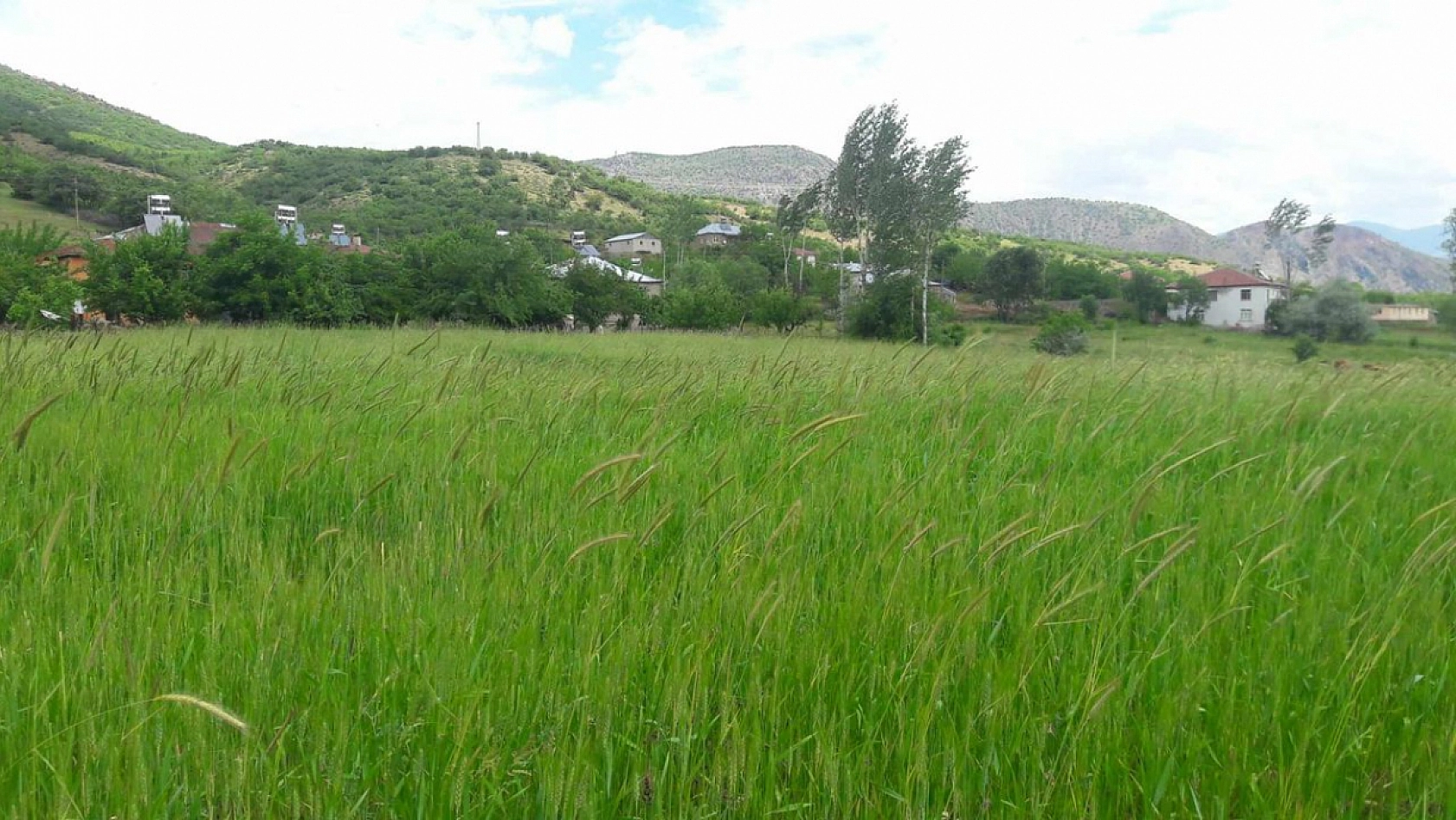 Elazığ'da Geleceğin Yıldızı Olmaya Aday Olan Bu Köy, Görenleri Büyülemeye Devam Ediyor!