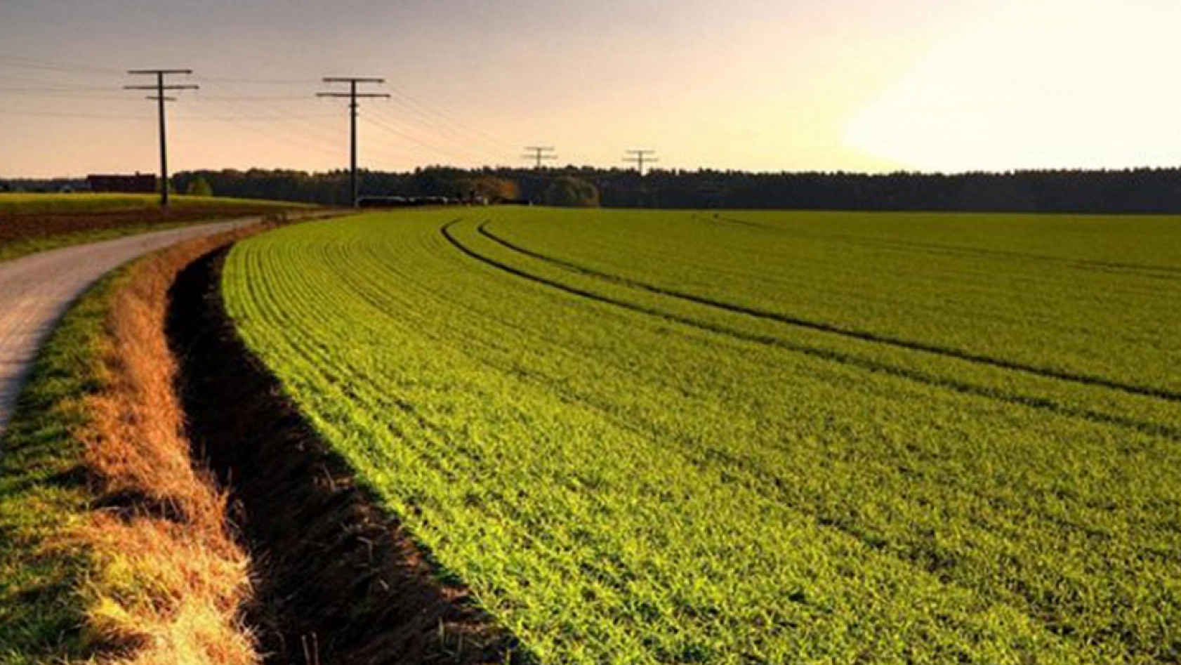 TOKİ, Elazığ dahil 25 ilde uygun fiyatlı arsa satışına başladı! İşte detaylar...