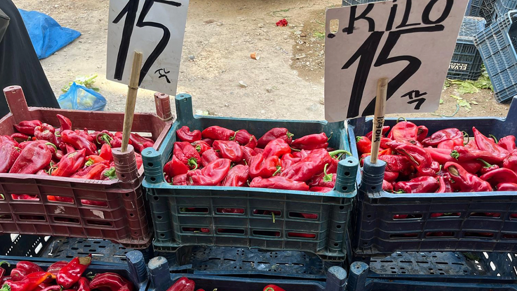 Elazığ'ın salı pazarında güncel sebze-meyve fiyatları