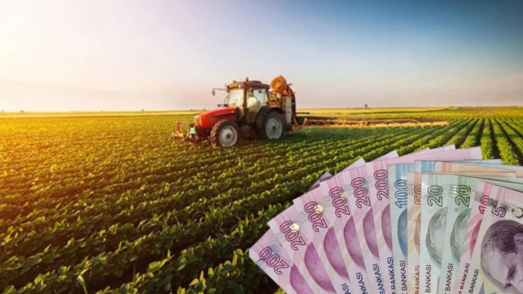 Elazığlının aşkı böyle olur: 'Aşkımız çiftçinin borcu gibi hiç bitmesin'