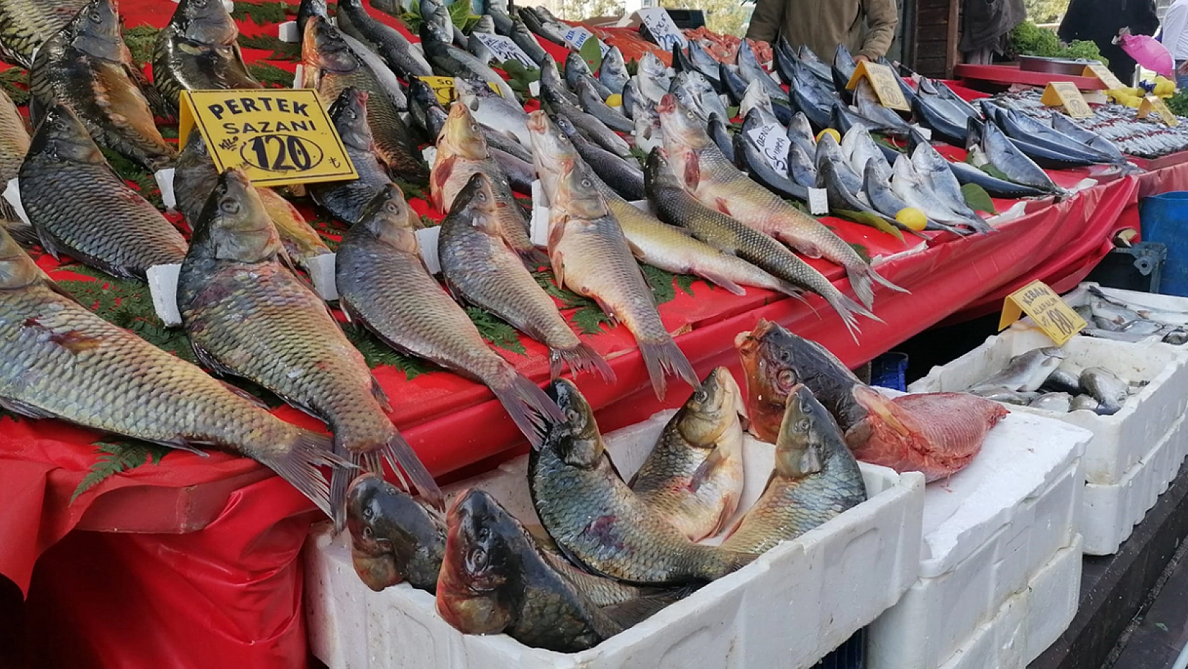 Elazığ'da güncel balık fiyatları