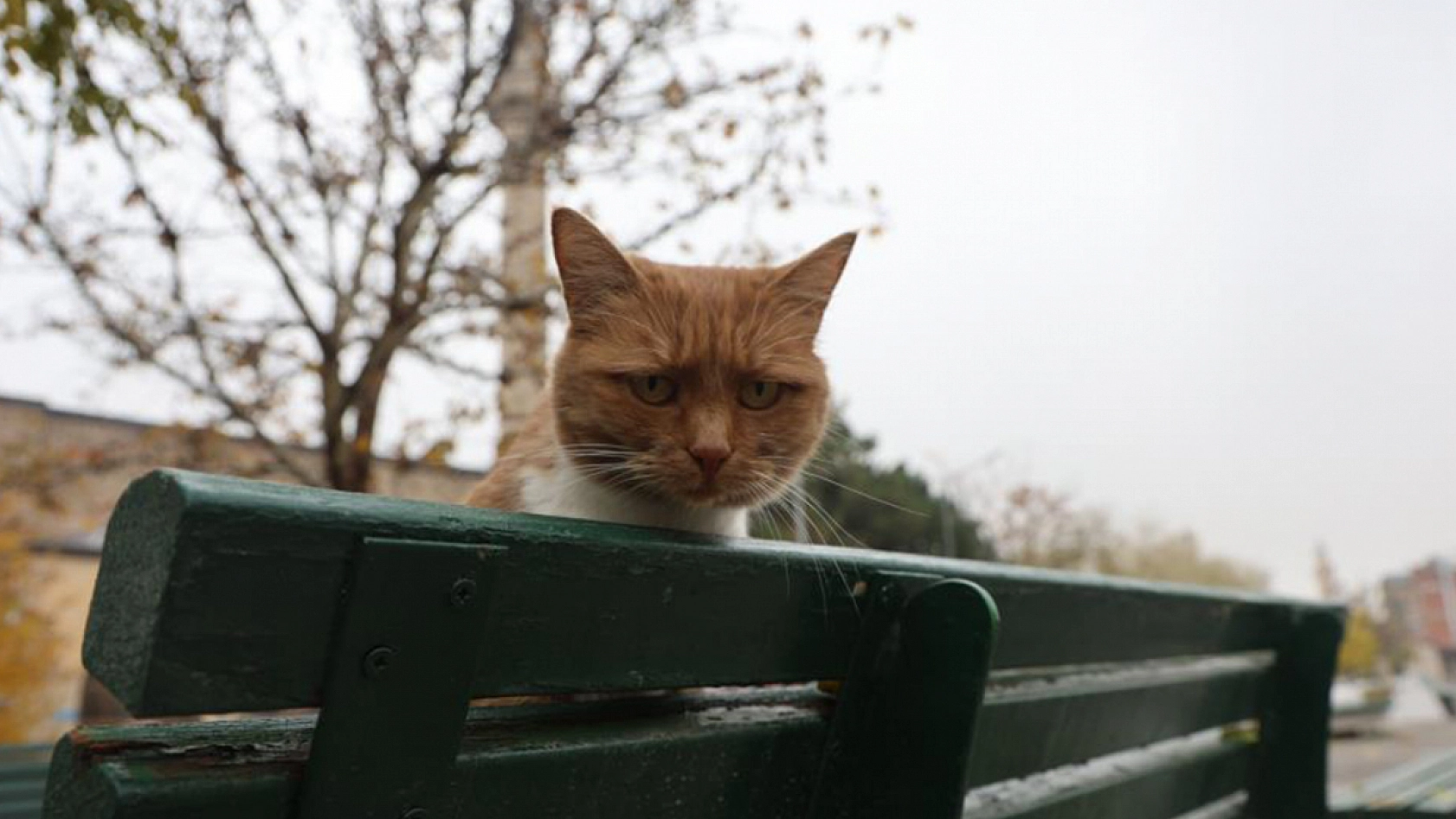 Harput'un gülen yüzleri kameralara yansıdı