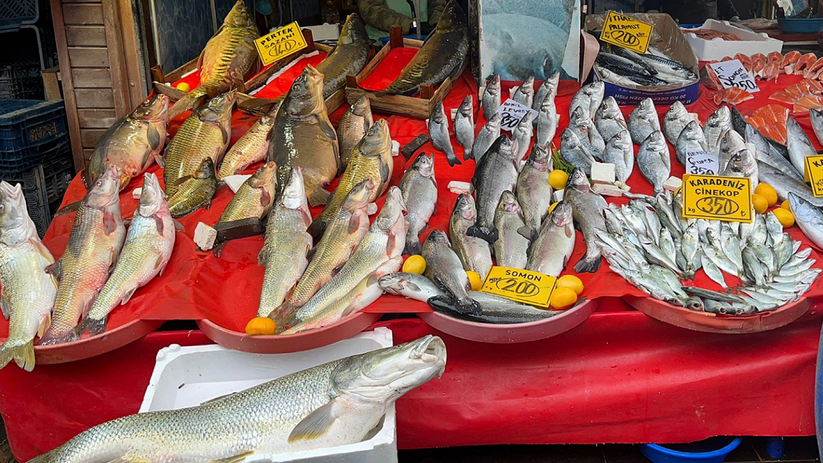 Elazığ'da vatandaşlar ucuzlamasını bekliyordu... İşte güncel balık fiyatları