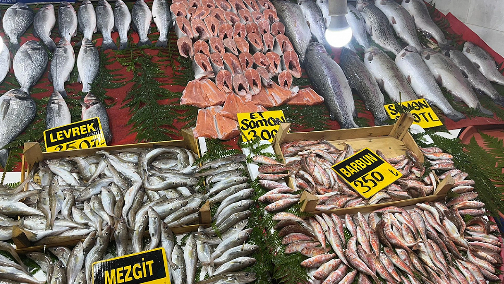 Elazığlıların vazgeçilmez balığı cep yakıyor