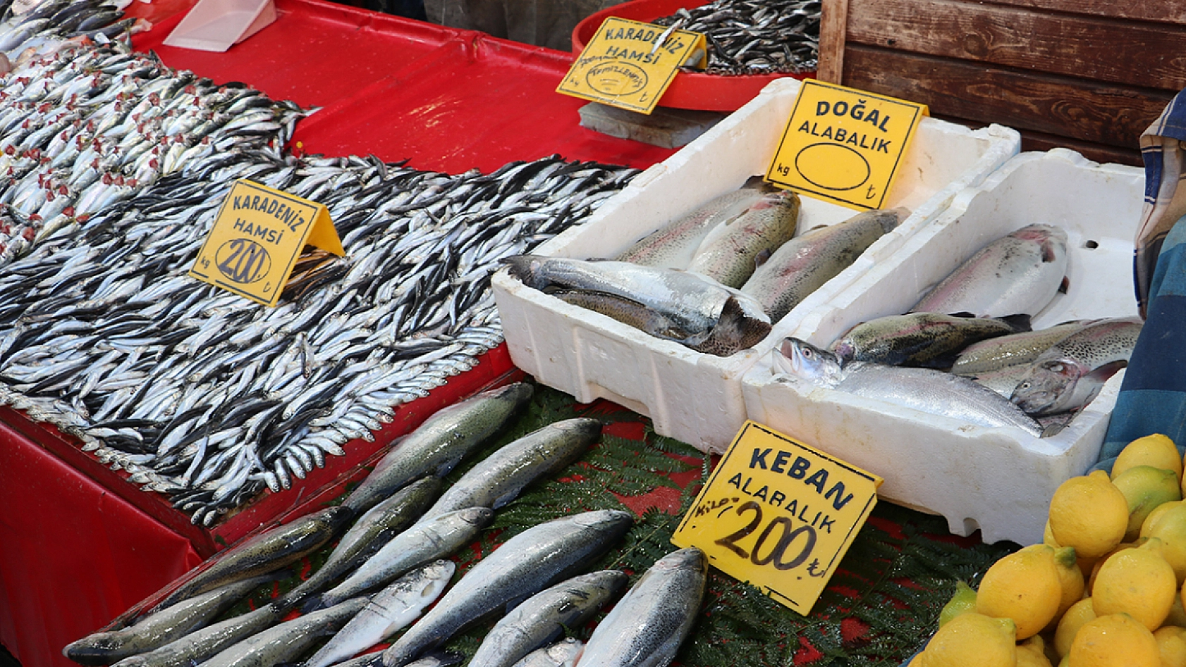 Elazığ'da balık fiyatlarında son durum ne? İşte güncel balık fiyatları…