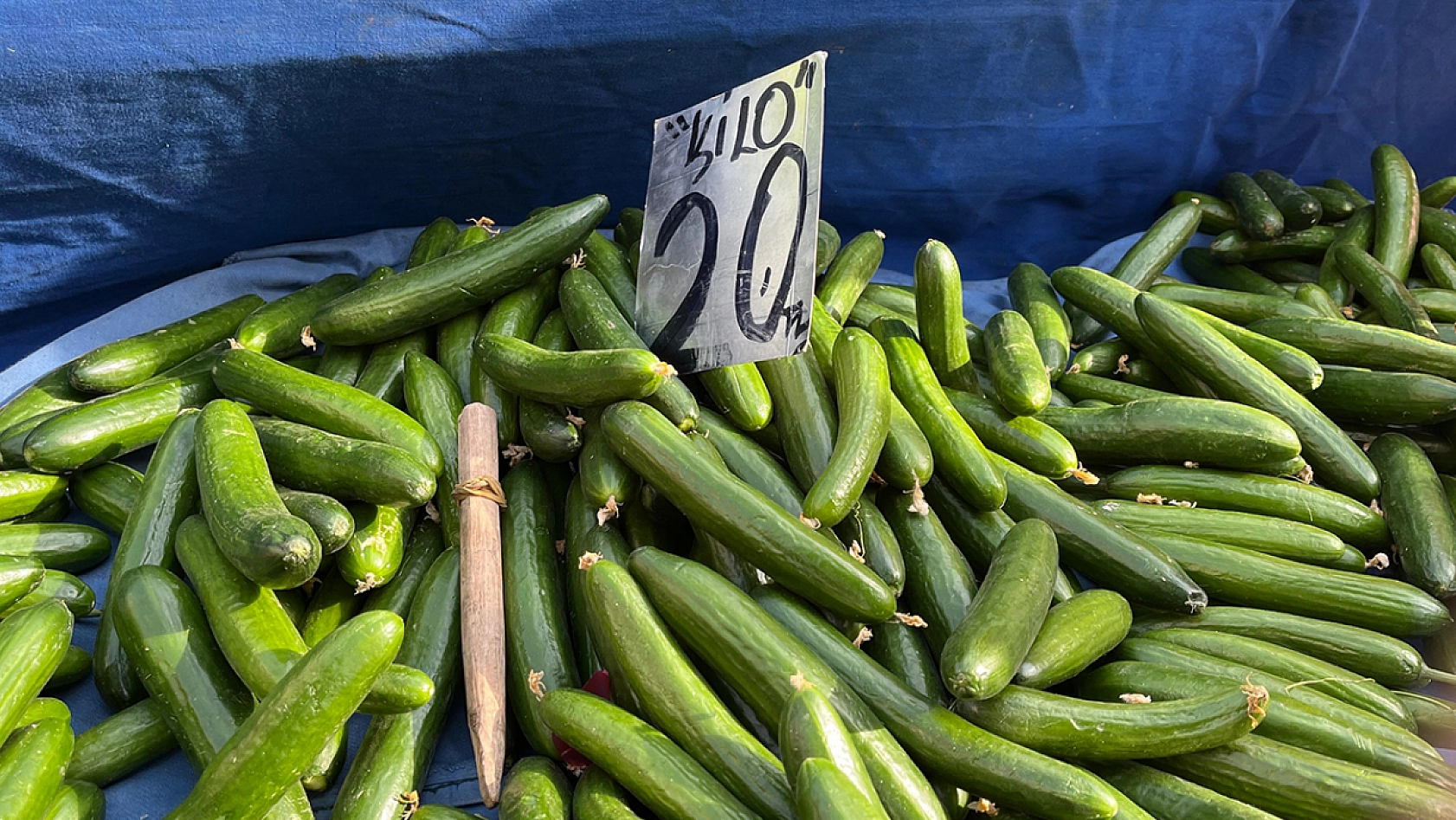 Elazığ semt pazarında güncel meyve ve sebze fiyatları