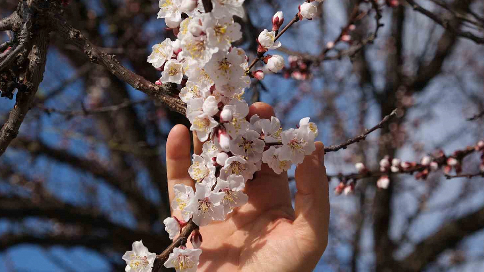 Elazığ'a cemre ne zaman düşecek?