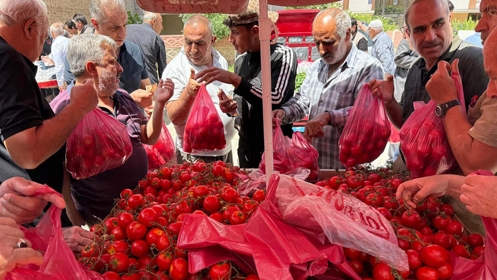 Elazığ'da 3 kilosu 50 liradan satıldı vatandaşlar poşet poşet aldı