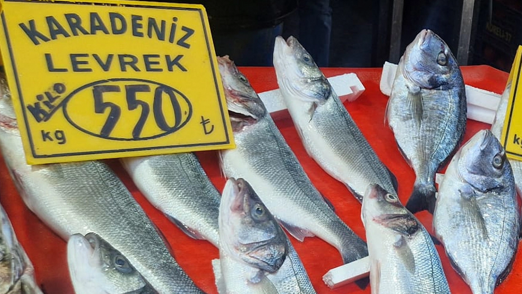 Elazığ'da balık sezonu açıldı: En sevilen balığın fiyatını duyanın dudağı uçukluyor