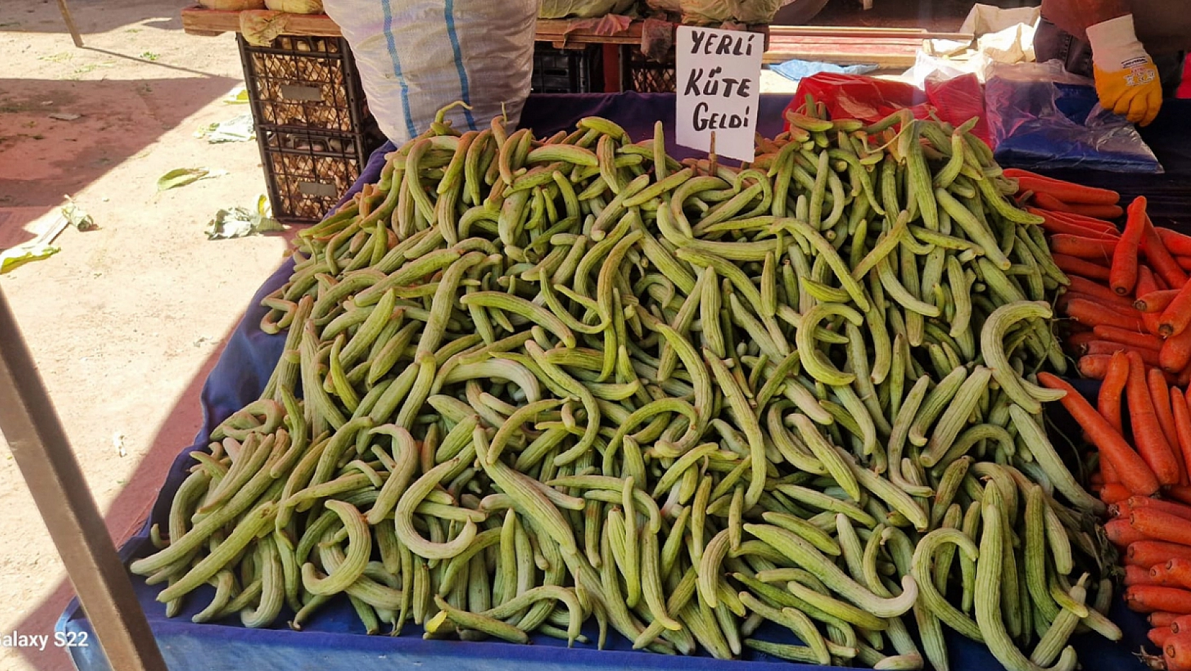 Elazığ'da turşu sezonu başladı: İlk mahsuller tezgahlarda