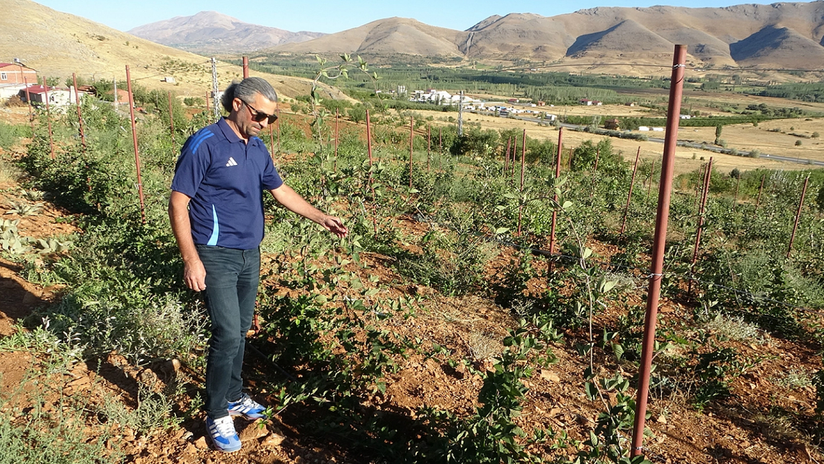 Malatya'da tarımsal üretimde çeşitlilik: Yeni projelerle üreticiye destek