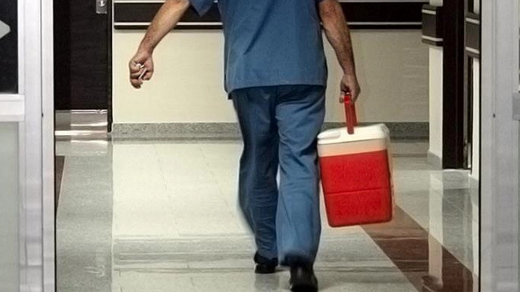 Sağlıkta yeni dönem: e-Devlet ve e-Nabız üzerinden yapılabilecek