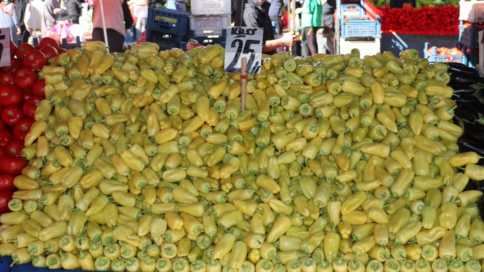 Elazığ'da fiyatları duyan pazara koşuyor