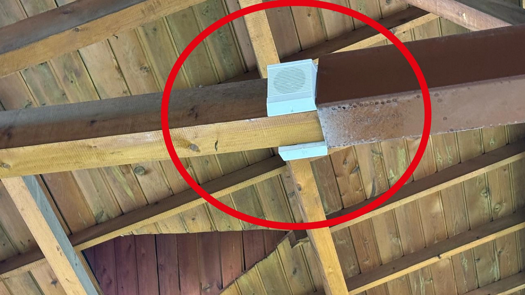 Elazığ Kapalı Çarşı'da Harput musikisi eşliğinde alışveriş keyfi