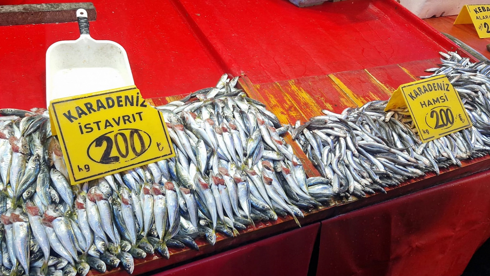 Elazığ'da havalar soğudukça balık tezgahları şenleniyor