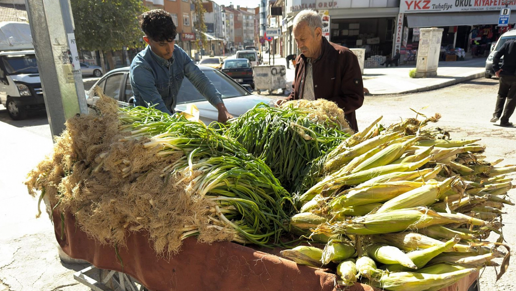 Elazığ'da fiyatı 40 liraya düştü, deste deste alındı