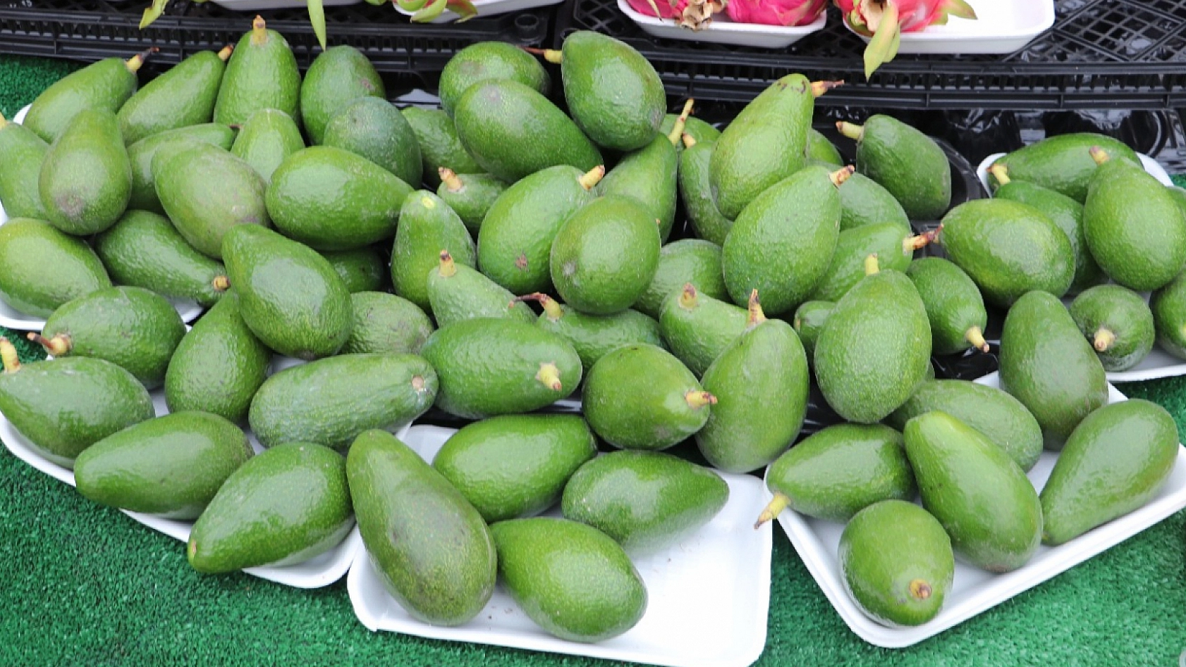 Elazığ'da tropikal meyvelere yoğun ilgi