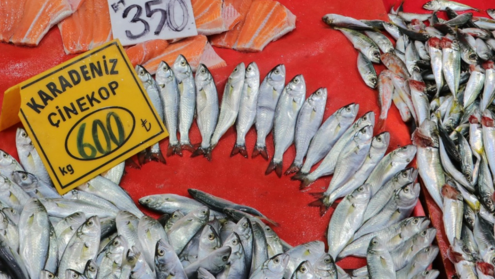 Elazığ'da balığa talep azaldı mı?