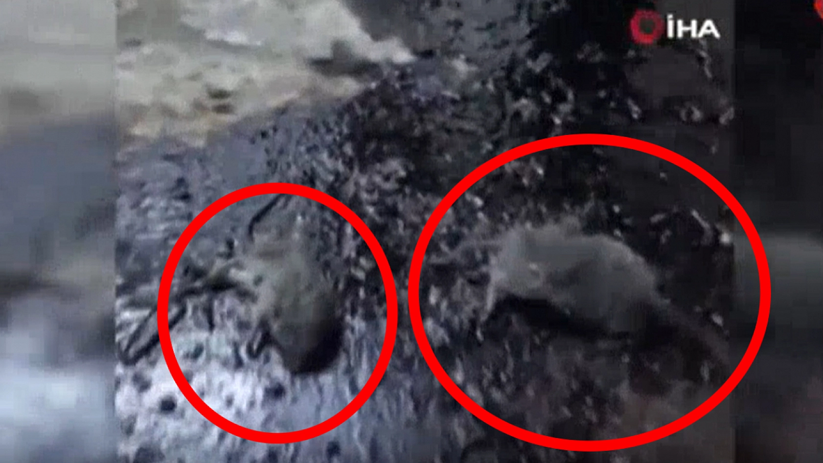 Depo değil çöplük gibi: Yetkililer devreye girdi