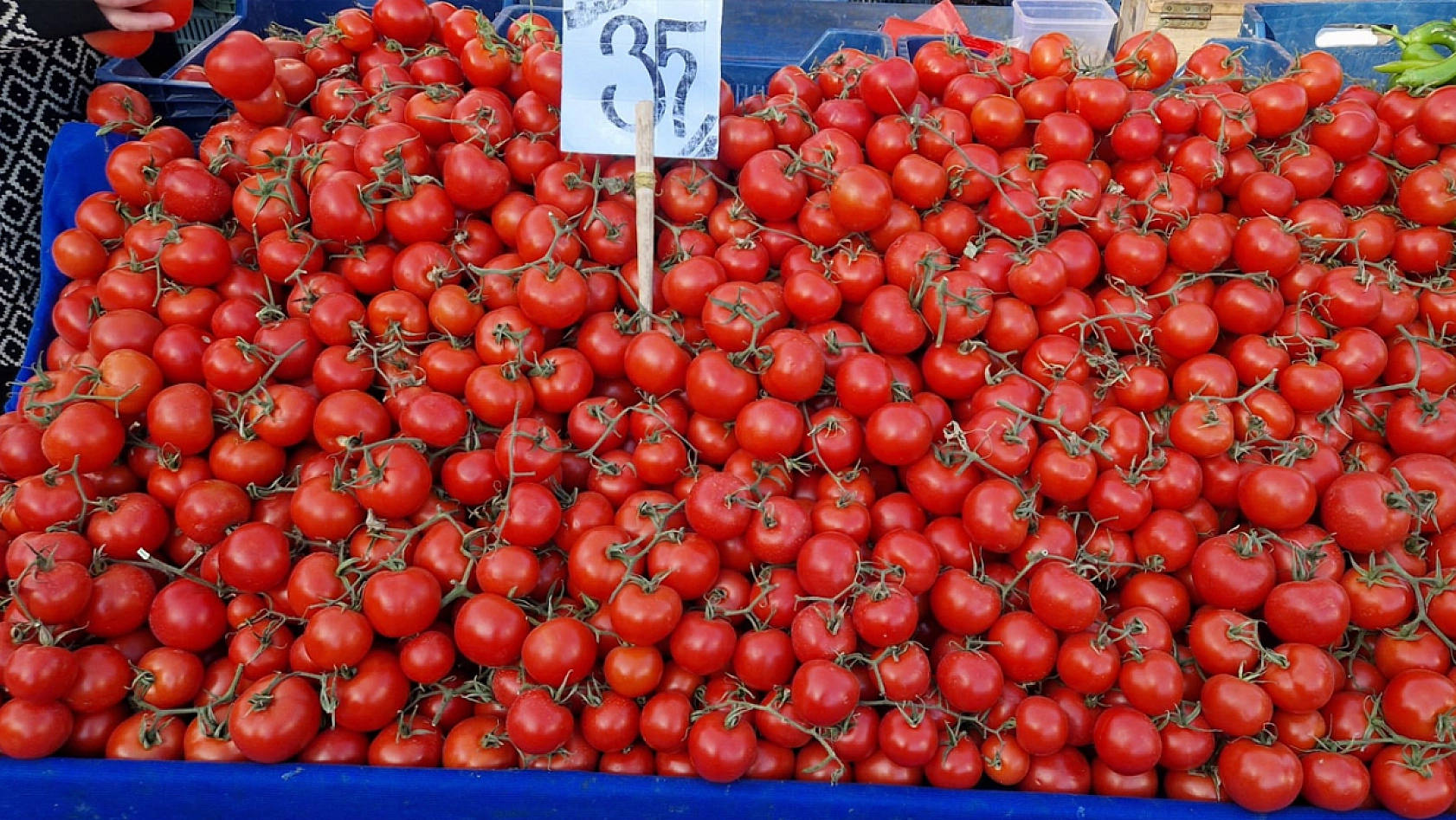 Elazığ'da havalar soğudu, fiyatlar arttı